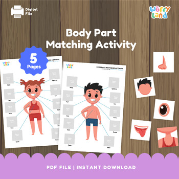 Preview of Body Part Matching Activity, Body Part for Kids, Toddler Busy Book Pages, Human