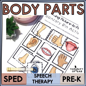 Preview of Body Parts | Parts of the Body | My Body Activities