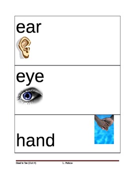 Preview of Body Part Picture Vocabulary Cards