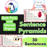 Body Part Themed Fluency Practice | Sentence Pyramids | DI