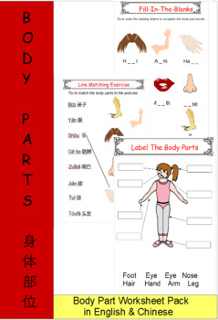 body part worksheet pack in chinese english by a z worksheets