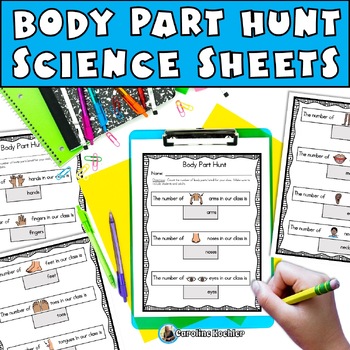 Preview of Body Parts Worksheet STEM Science Activity Preschool PreK Kindergarten SPED
