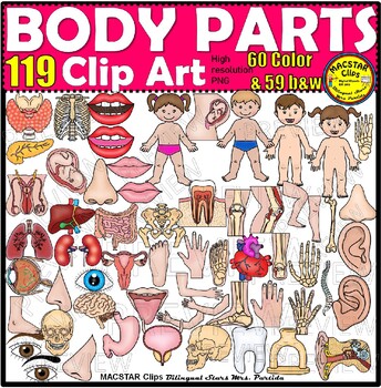 Preview of Body Parts BUNDLE Clip Art  ClipArt