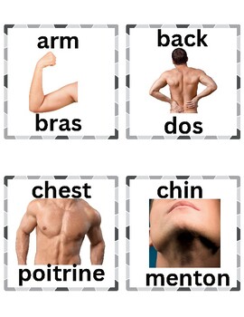 Preview of Body Parts Bilingual (English / French) Flash Cards | Parts of the Body Picture