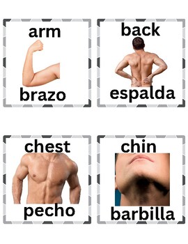 Preview of Body Parts Bilingual (English / Spanish) Flash Cards | Parts of the Body Picture