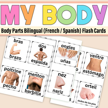 Preview of Body Parts Bilingual (Spanish / French) Flash Cards | Parts of the Body Picture