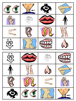 free body parts flashcards printables bingo sheets for kids