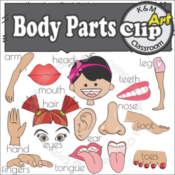 Body Parts - Clip Art by KM Classroom | TPT