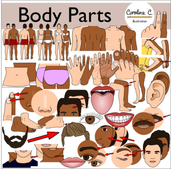 Preview of Body Parts Clip Art