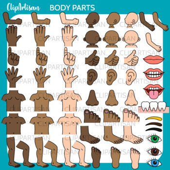 Body Parts Clip Art by ClipArtisan | Teachers Pay Teachers