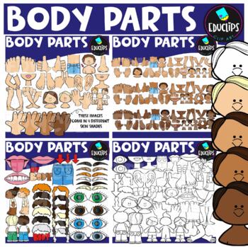 Preview of Body Parts Clip Art Set {Educlips Clipart}