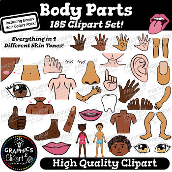 Preview of Body Parts Clip Art Set Vocabulary Activities Flashcards {Clipart for Teachers}