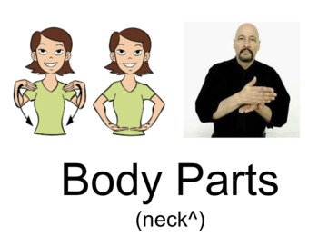 Preview of Body Parts Concept & Baseline (neck up)