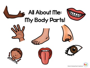 Preview of Body Parts | Errorless Learning | Nonverbal Autism | Book and Worksheets