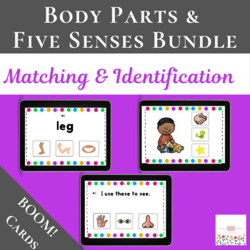 Preview of Body Parts & Five Senses Bundle with Boom Cards™ | Digital 