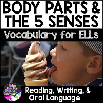 Preview of Body Parts & Five Senses Vocabulary for Beginning ELLs