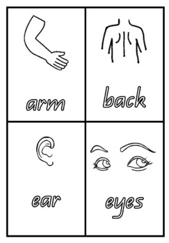 Preview of Body Parts Flashcards