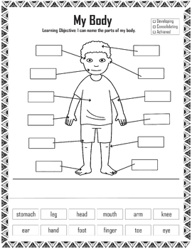 Preview of Body Parts Flashcards |Nonverbal Learners Special Printable Preschool Flashcards