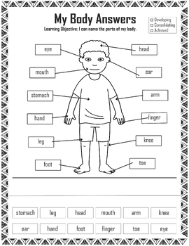 Body Parts Flashcards |Nonverbal Learners Special Printable Preschool ...