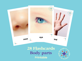 Preview of Body Parts Flashcards Set: 28 Cards, Photographic Images, Anatomy, Montessori