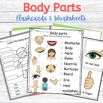 Preview of Body Parts (Flashcards & Worksheets For ESL/EAL)