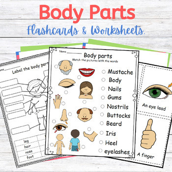 Body Parts (Flashcards & Worksheets For ESL/EAL) by Ninetta's Store