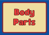 Body Parts Flashcards for kids
