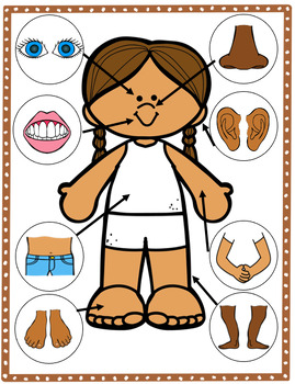 Body Parts Identifying & Matching File Folder Activity - Special Education