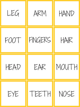 Body Parts Interactive Notebook & Memory Game by KM Classroom | TpT