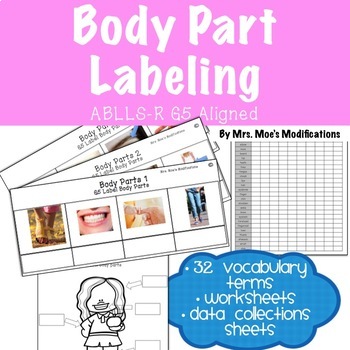 Preview of Body Parts Labeling-ABLLS-R Aligned