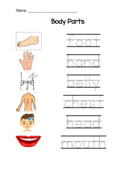 body parts trace teaching resources teachers pay teachers