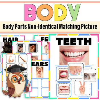 Preview of Body Parts Non-Identical Matching Picture | Errorless Body Parts Identification