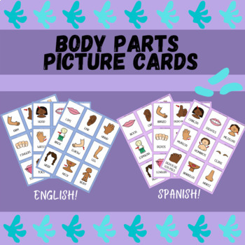 Preview of Body Parts Picture Cards (English & Spanish!)