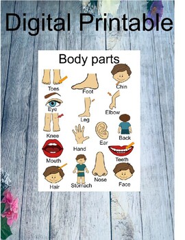 Preview of Body Parts Poster wall art interactive classroom decoration Toddlers, Autism