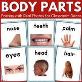 Body Parts Posters for Preschool Classroom Speech Therapy 