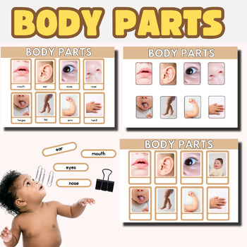 Preview of Body Parts: Printable Curriculum Helper /Toddler Busy Book/Autism Visuals