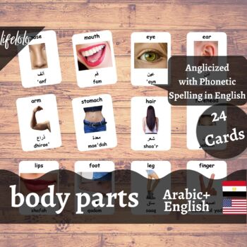 Preview of Body Parts (Real) - ARABIC English Bilingual Flash Cards | 24 Body Parts