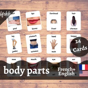 Preview of Body Parts (Real) - FRENCH English Bilingual Flash Cards | 24 Body Parts