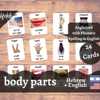 Preview of Body Parts (Real) - HEBREW English Bilingual Flash Cards | 24 Body Parts