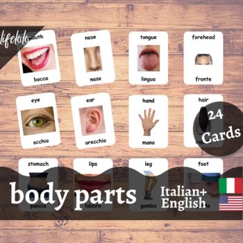 Preview of Body Parts (Real) - ITALIAN English Bilingual Flash Cards | 24 Body Parts