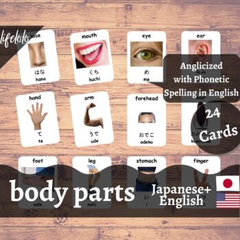 Preview of Body Parts (Real) - JAPANESE English Bilingual Flash Cards | 24 Body Parts