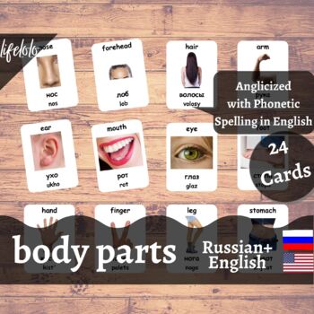 Preview of Body Parts (Real) - RUSSIAN English Bilingual Flash Cards | 24 Body Parts