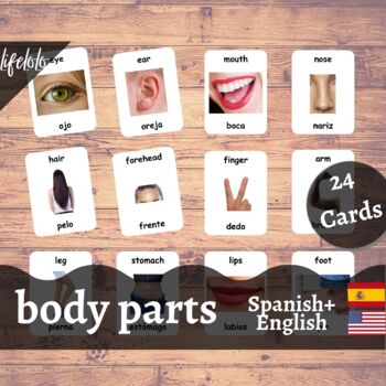 Preview of Body Parts (Real) - SPANISH English Bilingual Flash Cards | 24 Body Parts