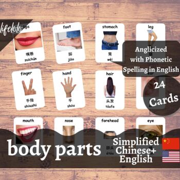 Preview of Body Parts (Real) - Simplified CHINESE English Bilingual Flash Cards | 24 Cards