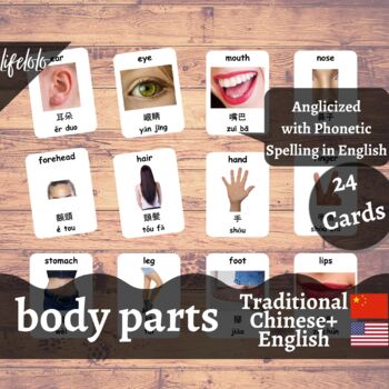 Preview of Body Parts (Real) - Traditional CHINESE English Bilingual Flash Cards | 24 Cards