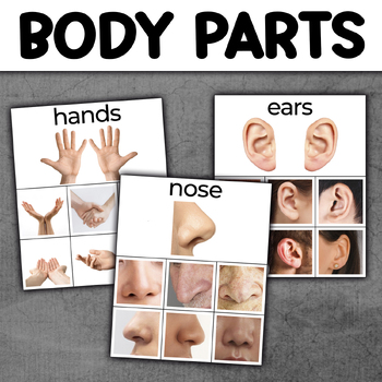 Preview of Body Parts Sorting Activity | Kids with Autism | Visuals for Speech Therapy