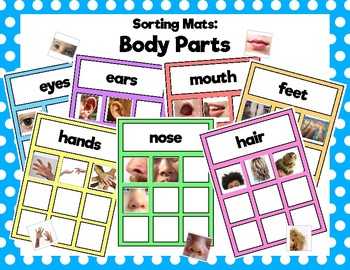 Preview of Body Parts Sorting Mats