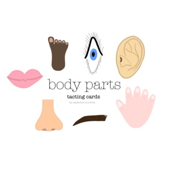 Preview of Body Parts: Tacting Cards