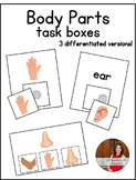 Body Parts Task Box Activities - Autism Classroom/Special 