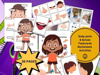 Preview of Body Parts & 5 Senses  PreK- K (Printable) Flashcards & Worksheets Lesson ASD